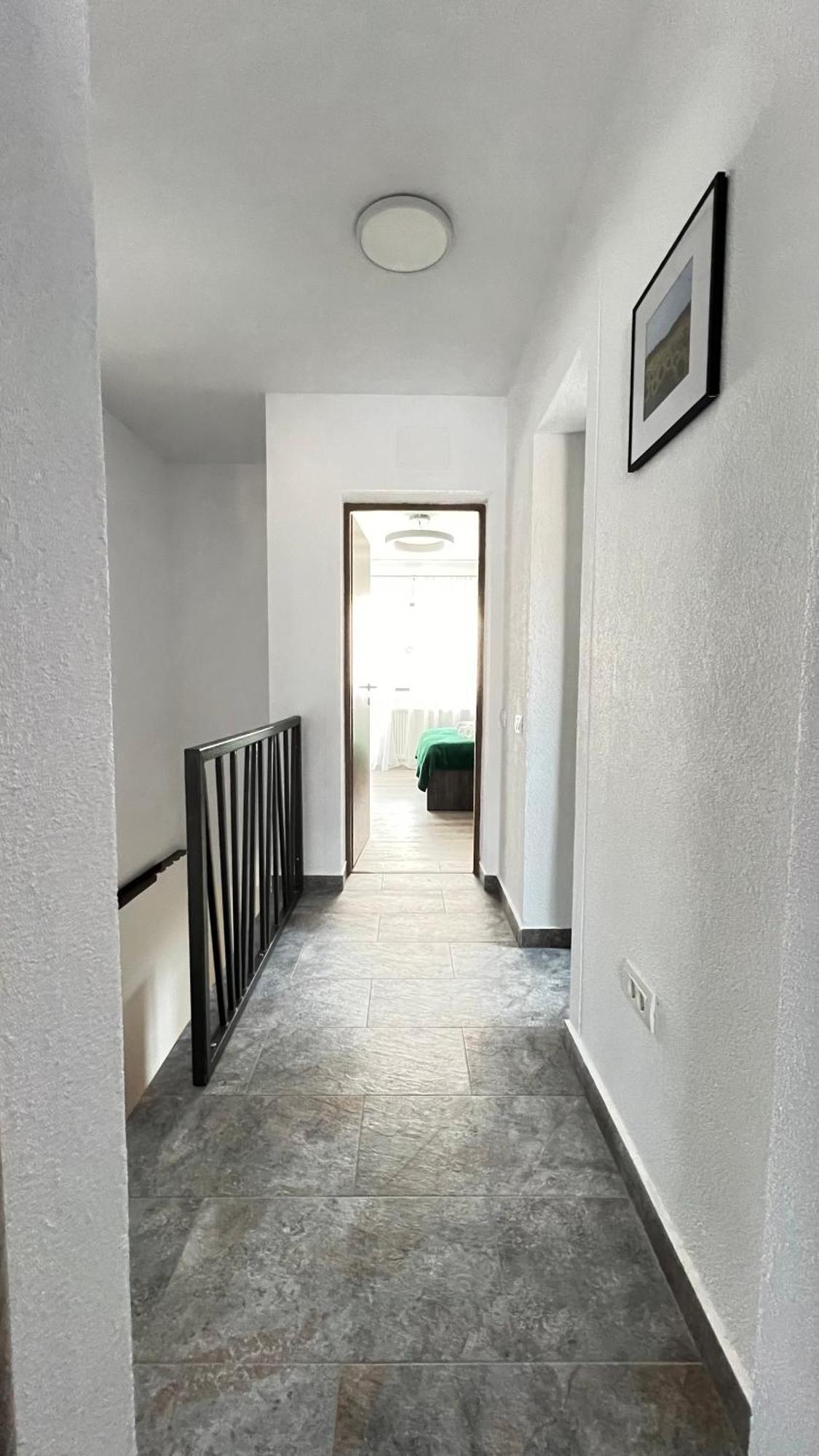 Buşteni Casa Amaヴィラ エクステリア 写真