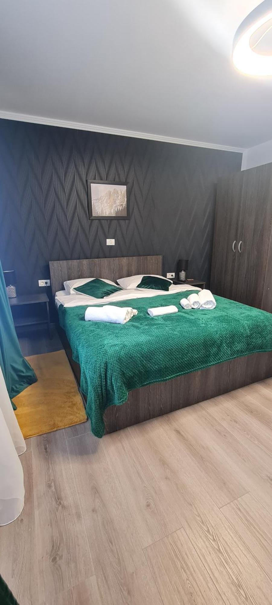 Buşteni Casa Amaヴィラ エクステリア 写真