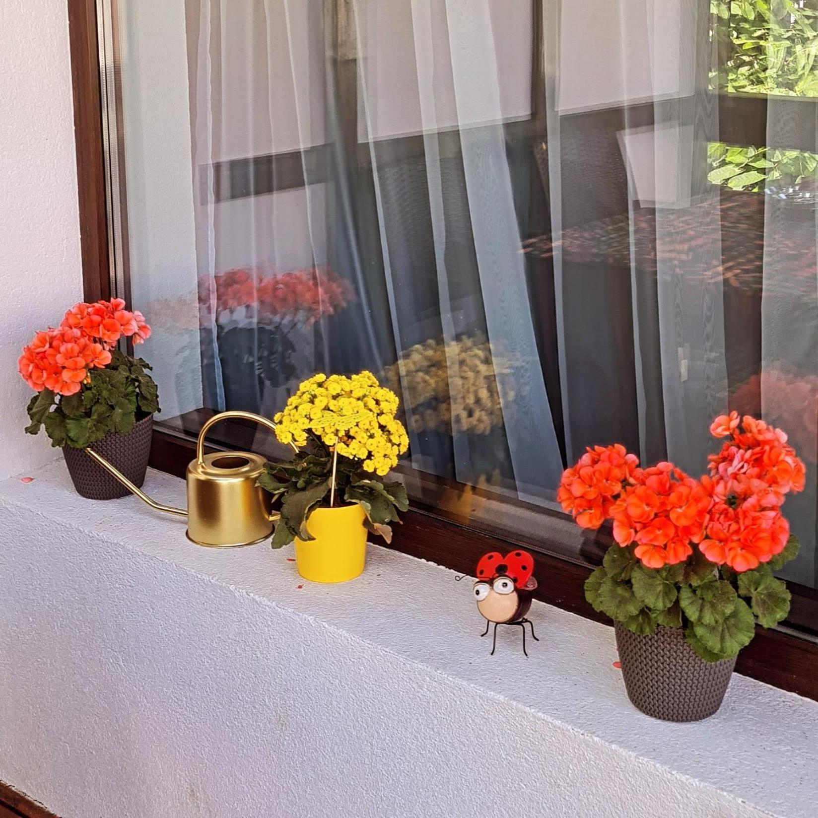 Buşteni Casa Amaヴィラ エクステリア 写真