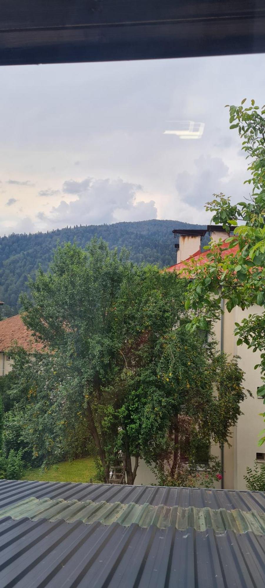 Buşteni Casa Amaヴィラ エクステリア 写真