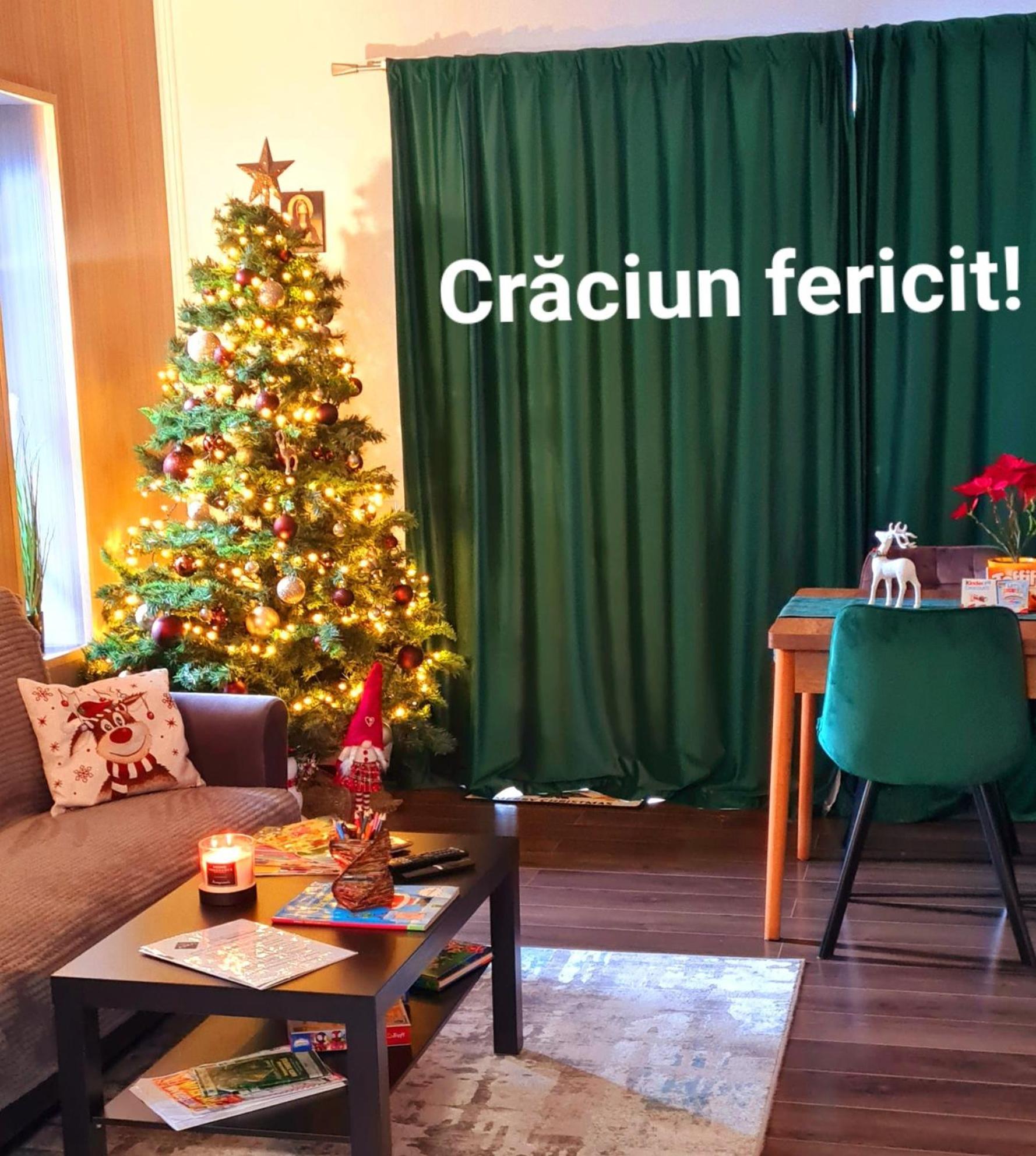 Buşteni Casa Amaヴィラ エクステリア 写真